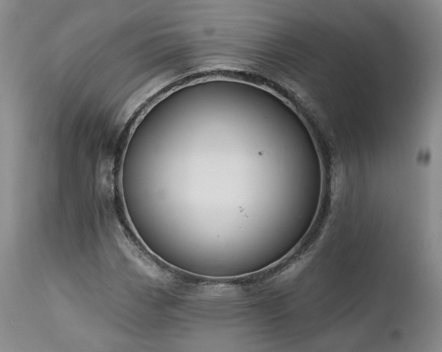 X0000113051113200908271524