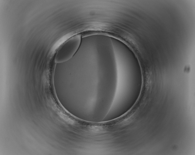 X0000113051114200908271524