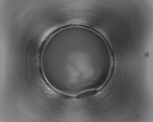 X0000113051115200908271524