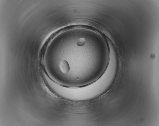 X0000113051116200908271524