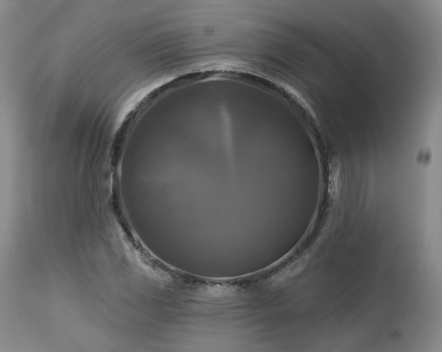 X0000113051117200908271524