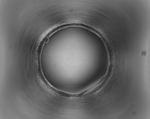 X0000113051118200908271524