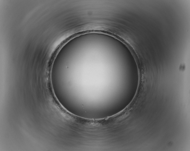 X0000113051119200908271524