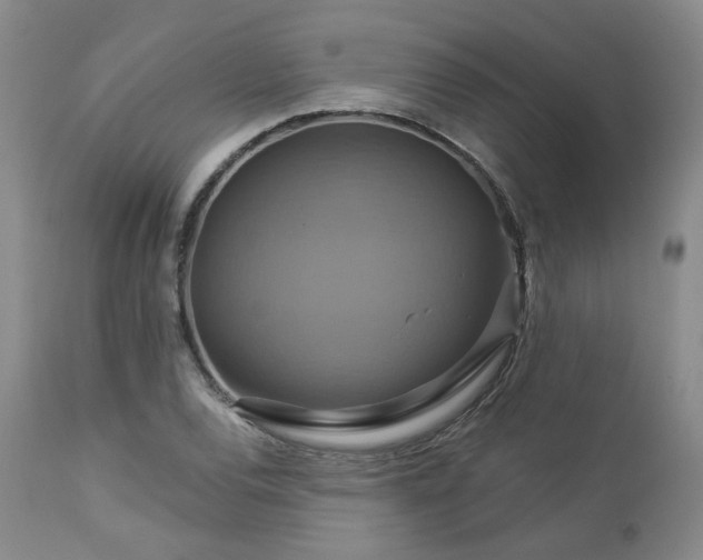 X0000113051120200908271524