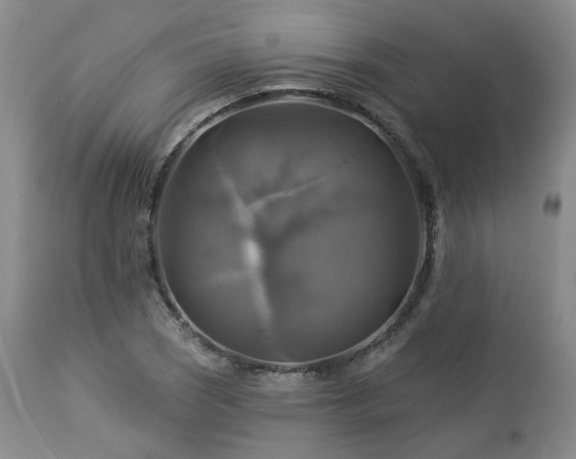 X0000113051121200908271524