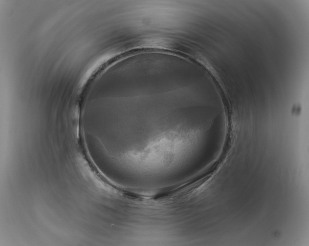 X0000113051123200908271524