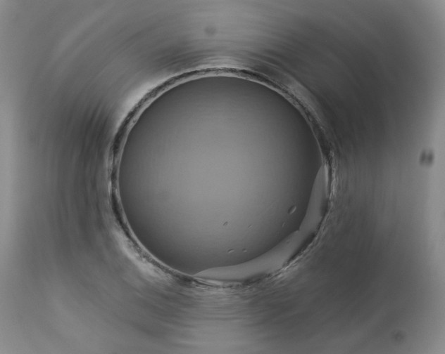 X0000113051124200908271524