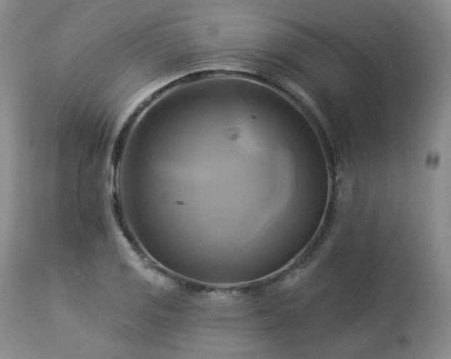 X0000113051125200908271524