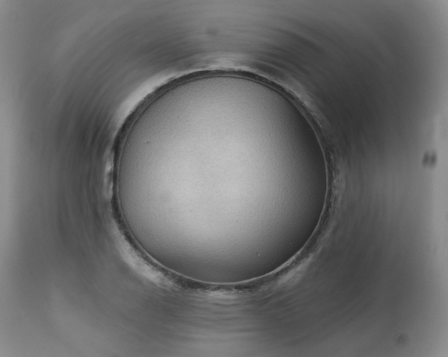 X0000113051126200908271524