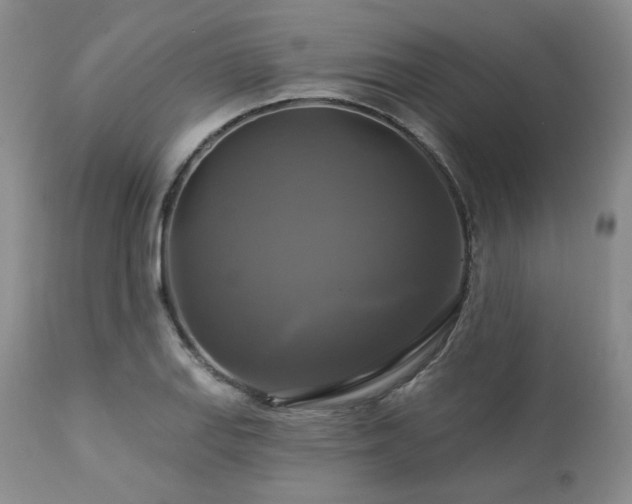 X0000113051127200908271524