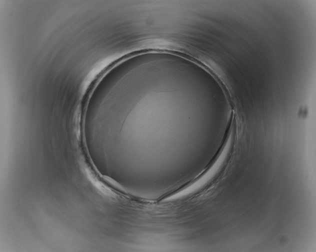 X0000113051128200908271524