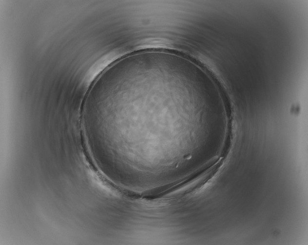 X0000113051129200908271524