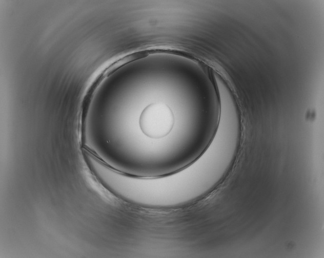 X0000113051132200908271524