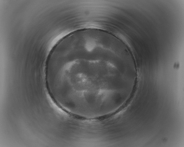 X0000113051133200908271524