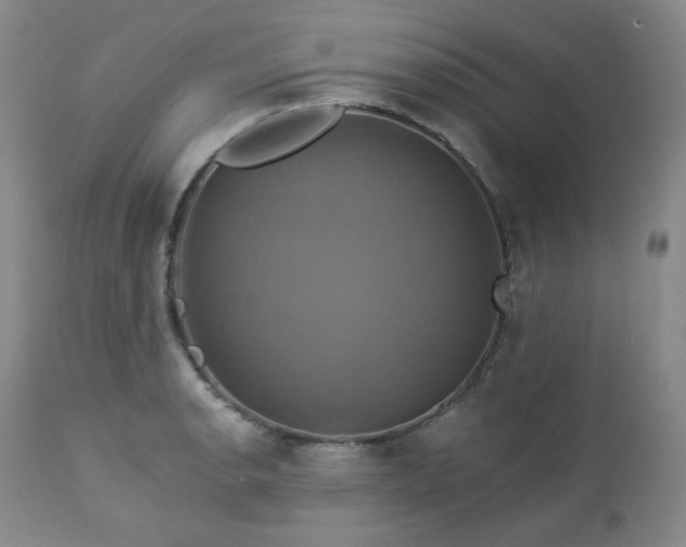 X0000113051134200908271524