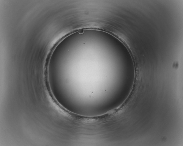 X0000113051135200908271524