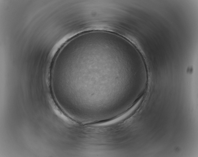 X0000113051136200908271524