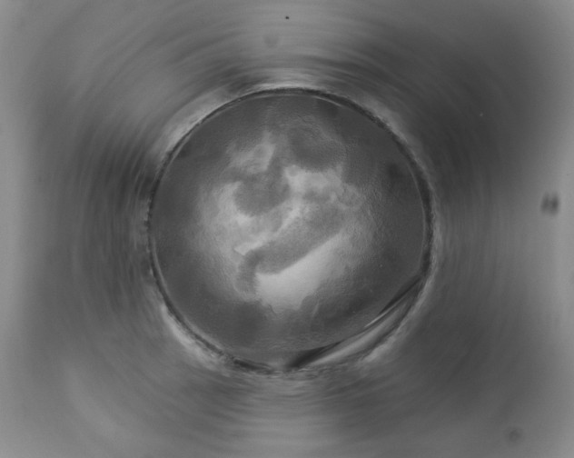 X0000113051137200908271524