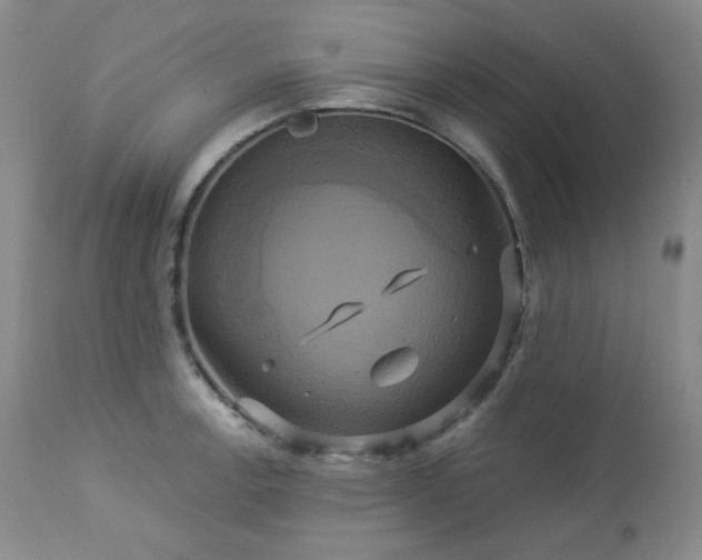 X0000113051138200908271524