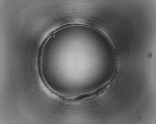 X0000113051139200908271524