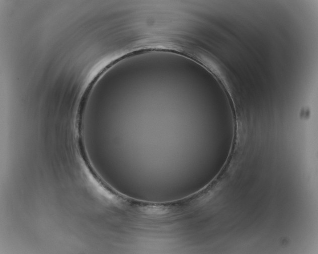 X0000113051141200908271524