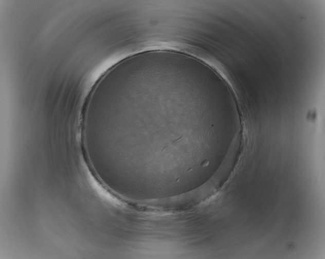 X0000113051143200908271524