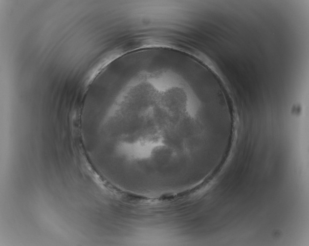 X0000113051145200908271525