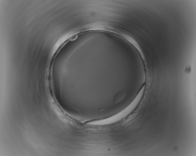 X0000113051146200908271525
