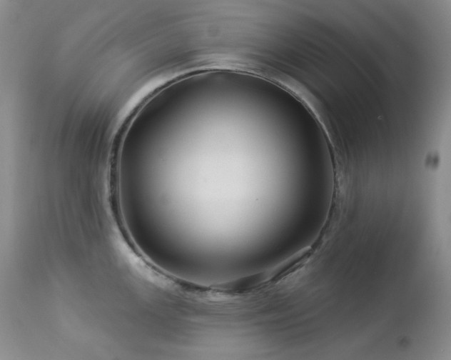 X0000113051147200908271525
