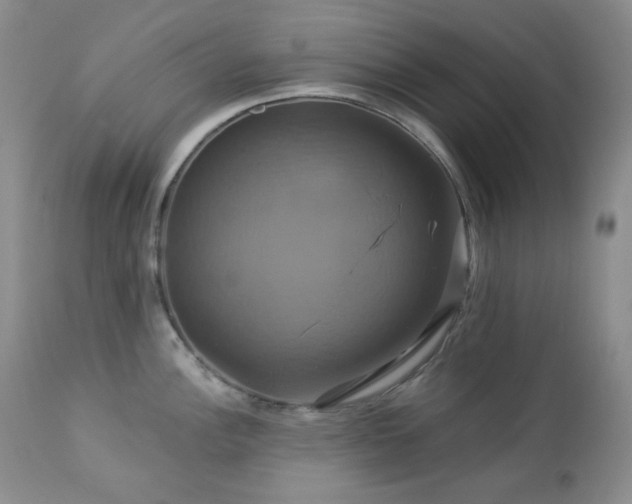 X0000113051148200908271525