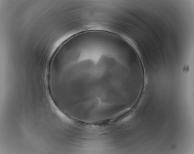 X0000113051149200908271525