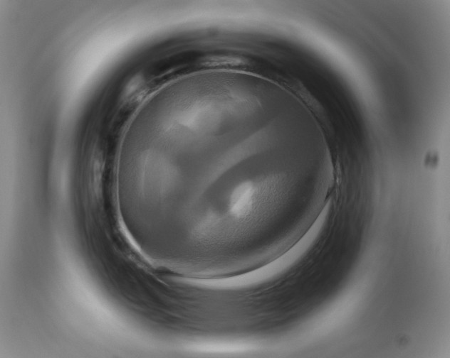 X0000113051151200908271525