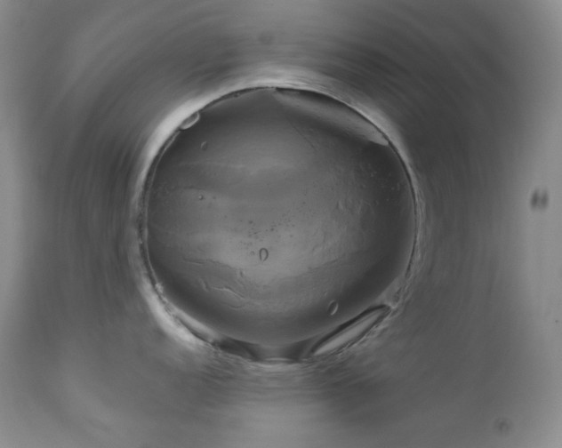 X0000113051152200908271525