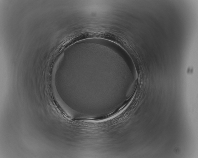 X0000113051153200908271524