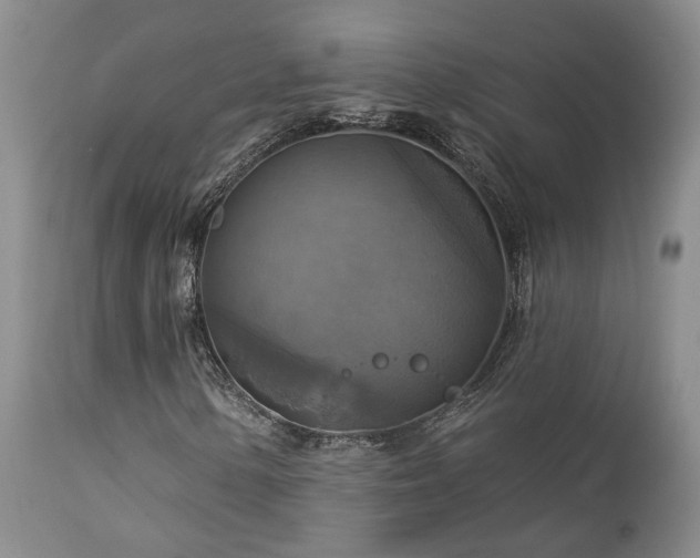 X0000113051154200908271524