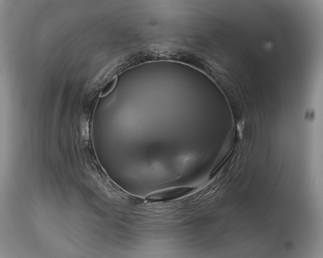 X0000113051155200908271524