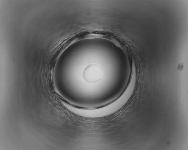 X0000113051157200908271524
