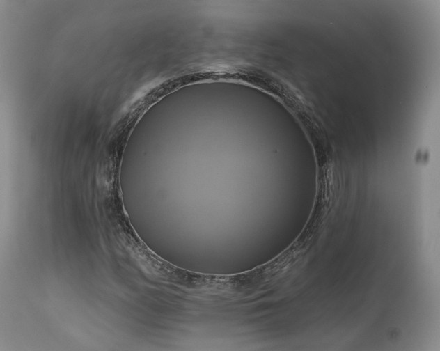 X0000113051158200908271524