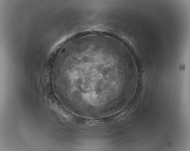 X0000113051159200908271524