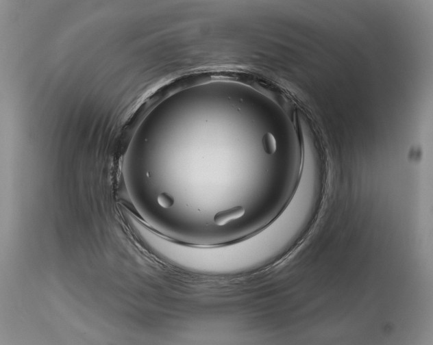X0000113051161200908271524