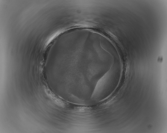 X0000113051163200908271524
