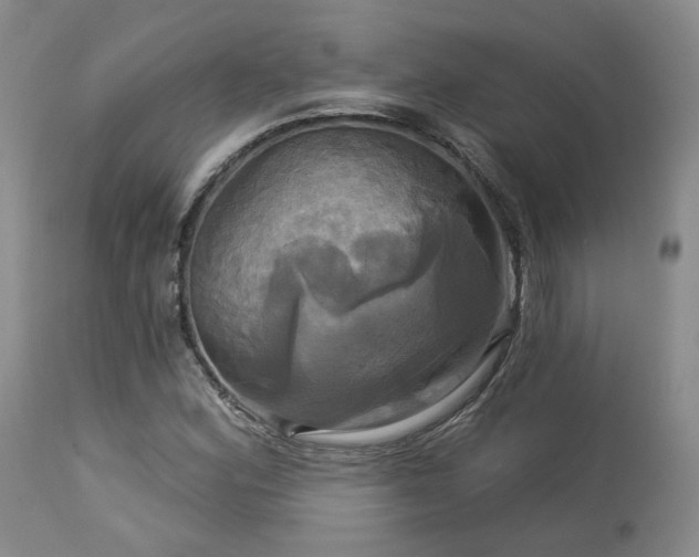 X0000113051164200908271524