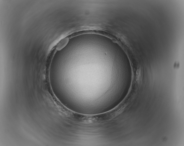 X0000113051165200908271524