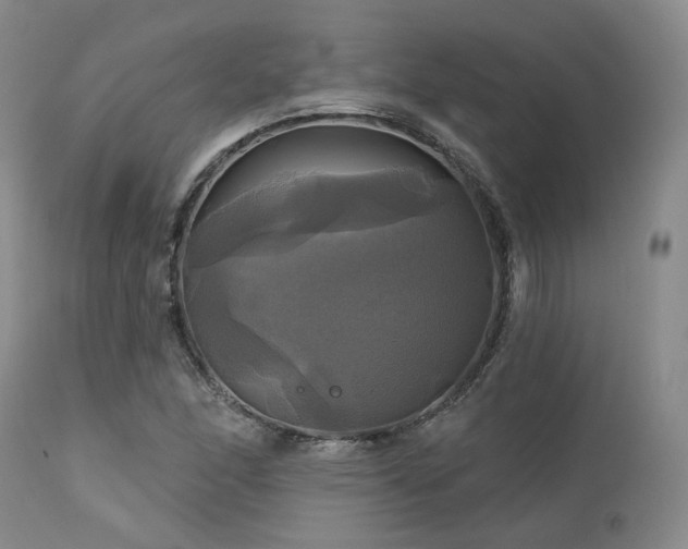 X0000113051166200908271524