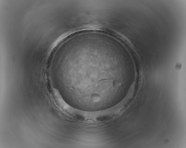 X0000113051168200908271524