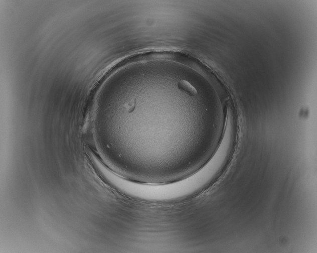 X0000113051169200908271524