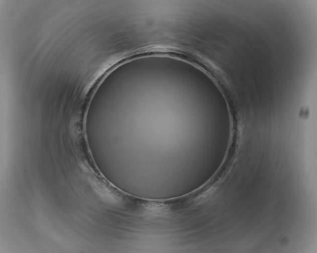 X0000113051170200908271524