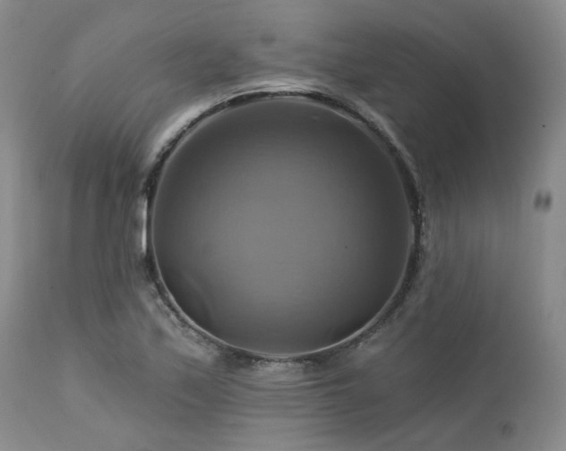 X0000113051171200908271524