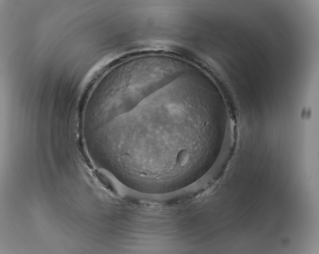 X0000113051172200908271524
