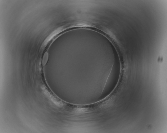 X0000113051173200908271524